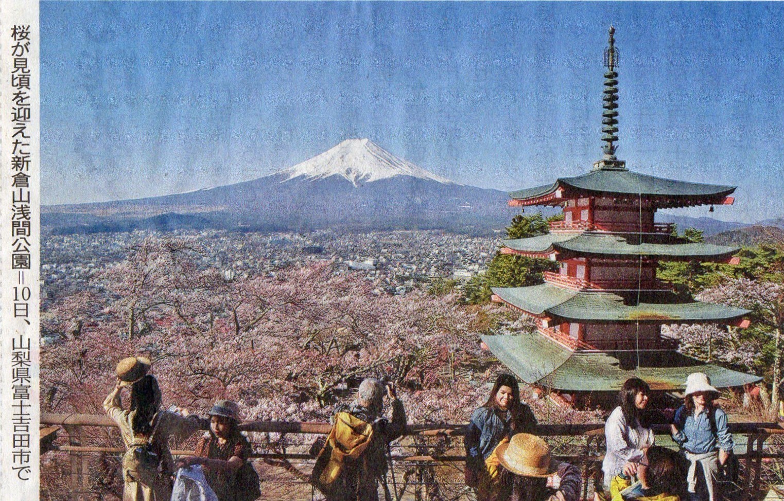 絶景かな】「富士山」「桜」「五重塔」: 満州っ子 平和をうたう 絶景かな】「富士山」「桜」「五重塔」: 満州っ子 平和をうたう